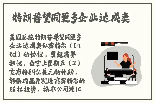 荧被盗宝团轮j视频